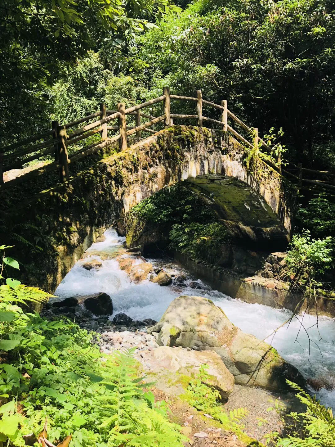 召唤神龙万宁版祖龙